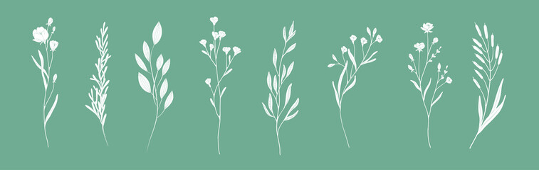 Minimal feminine botanical floral branch in silhouette style. Hand drawn wedding herb, minimalistic flowers with elegant leaves. Botanical rustic trendy greenery vector