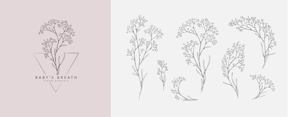 Fototapeta Limonium, babys breath logo and branch. Hand drawn wedding herb, plant and monogram with elegant leaves for invitation save the date card design obraz