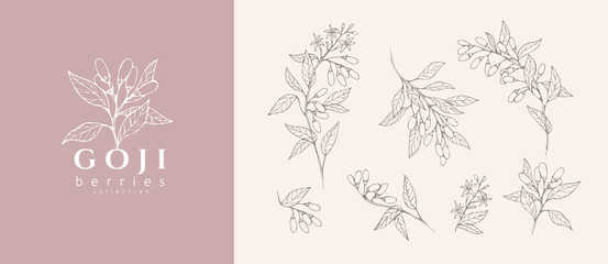 Goji berries flowers floral branch and logo set. Hand drawn line herb, elegant leaves for invitation save the date card. Botanical rustic trendy greenery © merfin