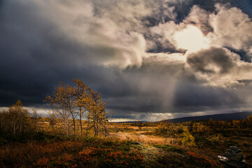 Fototapeta na wymiar Autumn Storm Near Beitostolen, Norway