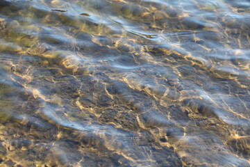 waves on the sand