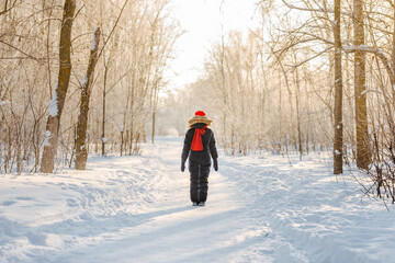 Rear view of little girl 10 years old in a red hat in a winter forest with sunlight. A little girl is having fun on a winter day. cheerful little girl in a warm jumpsuit