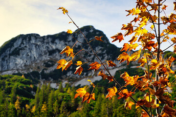 Wanderherbst