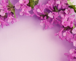 Purple flowers frame. Postcard with flowering plants. Spring or summer romantic composition. Free space for text.