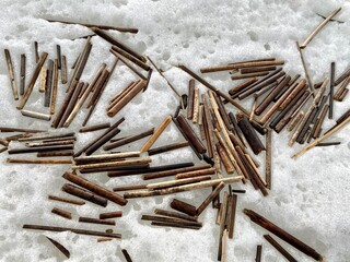 broken branches of reeds on ice, river bank
