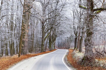 Winter road in Czech countryside