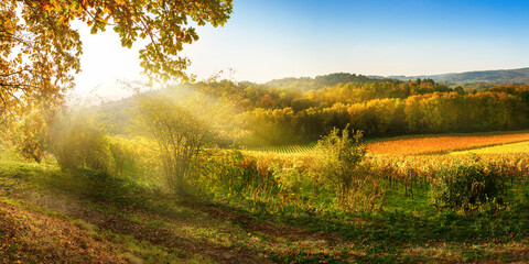 Scenic rural landscape in autumn with vineyards, hills, vibrant blue sky and rays of sunlight