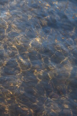 ripples in the water