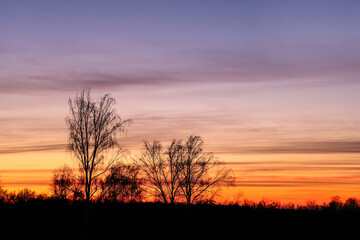 Fototapeta na wymiar Silhouette of trees at sunset background
