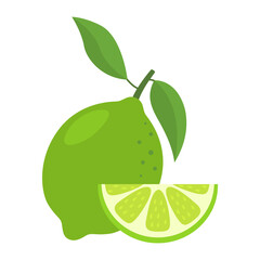 Lime whole fruit and slice for package design. Green ripe lime fruit icon isolated on white background. Organic food, healthy nutrition, vegetarian product. Citrus vector illustration.
