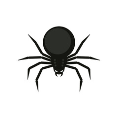 Spider on a white background. Black silhouette of a scary spider