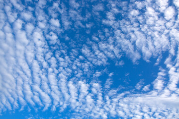 Obraz premium Blue sky background with cloudss.Nature abstract background.