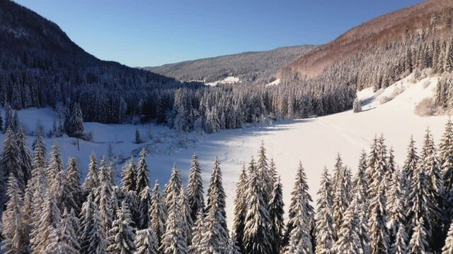 Survol drone &agrave; basse hauteur au dessus des arbres dans une vall&eacute;e de montagne. Paysage d&rsquo;hiver du Jura, Mijoux.