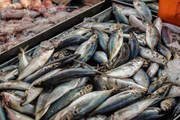 Tuna fish sell in local fishery market