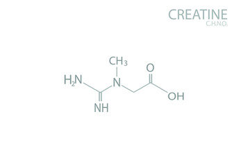 Creatine molecular skeletal chemical formula.	