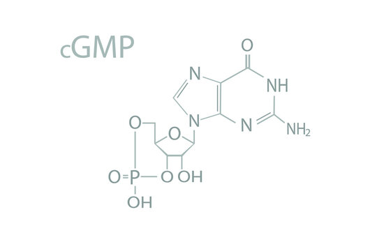 Cyclic guanosine monophosphate (cGMP) molecular skeletal chemical formula.	