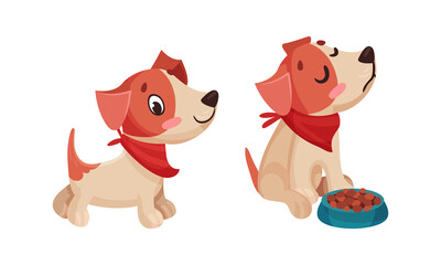Cute puppy daily routine set. Adorable little pet animal with bowl of food cartoon vector illustration
