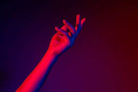 Studio shot of aethentic human hands isolated on purple studio background in neon light. Concept of human relation, community, togetherness