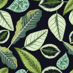 Seamless pattern with tropical beautiful leaves exotic background.