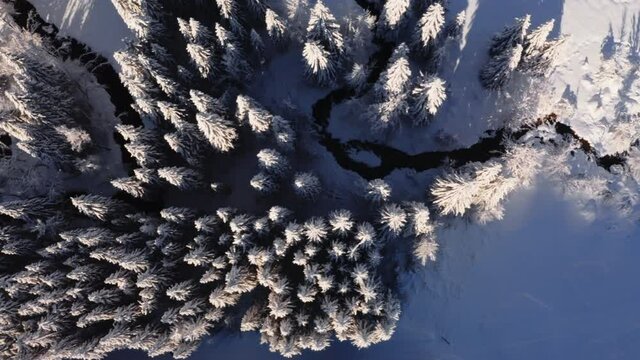 Survol drone vertical d&rsquo;une rivi&egrave;re qui serpente dans une for&ecirc;t enneig&eacute;e. Paysage d&rsquo;hiver, neige, Jura.