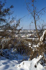WINTER NATURE  NEAR THE VILLAGE OF KOCELJEVA IN SERBIA