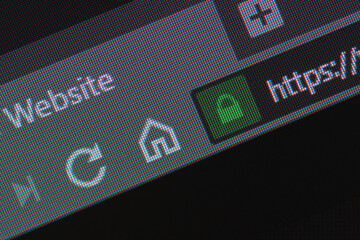 Web browser closeup on LCD with secure https url and visible pixels