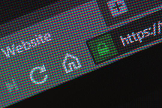 Web browser closeup on LCD with secure https url and visible pixels