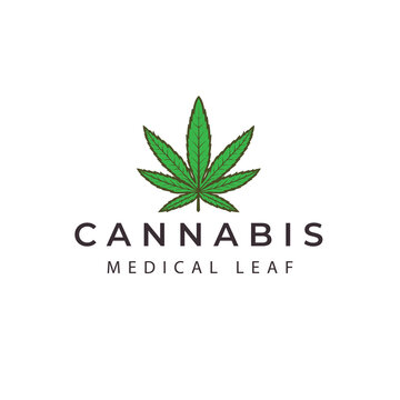 cannabis leaf  logo vector icon symbol illustration design
