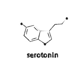 Serotonin formula on a white background. Symbol. Vector illustration.