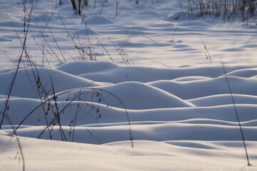 grass in snow