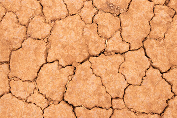 Cracked dry brown soil texture background, concept for global warming effect