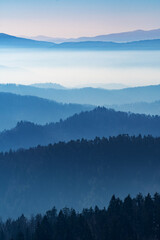 Fototapeta Beautiful view of numerous layers of forests, hills, mountains and hazy valleys obraz