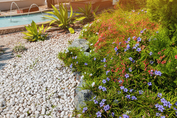 Fototapeta na wymiar landscaping design in the garden with plants in bloom and decorative stones on the sidewalk