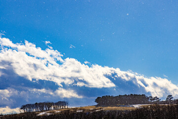丘の上の綺麗な青空の中に舞う粉雪