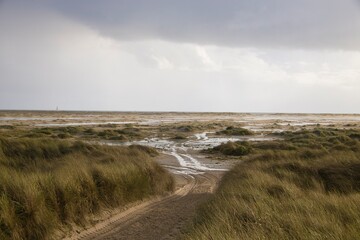 Dunes at the Beach of Amrum, Germany, Europe