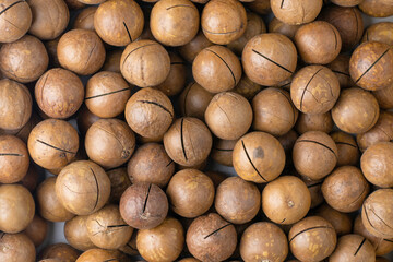 macadamia nuts with saws for splitting background backdrop