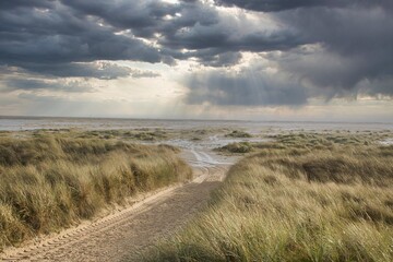 Dunes at the Beach of Amrum, Germany, Europe