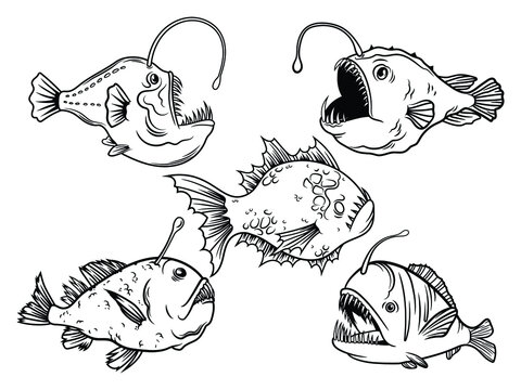 Set of silhouette anglerfish. Collecting deep sea fish with a flashlight. Ocean creature. Underwater animals. Vector illustration of marine wildlife on a white background.
