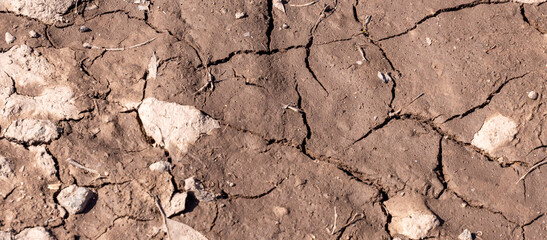 cracked earth in the garden