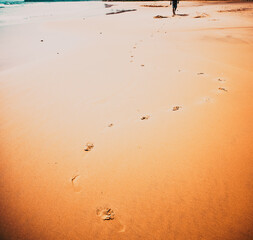footprints in the sand by the seaside