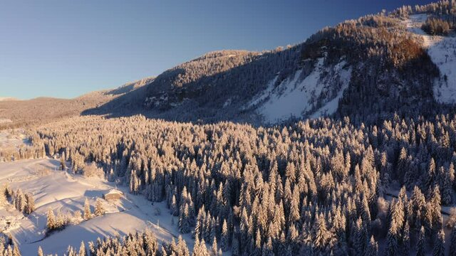 Survol drone au dessus des arbres recouverts de neige, for&ecirc;t de sapin du Jura en montagne. Lumi&egrave;re chaude et rasante fin d&rsquo;apr&egrave;s-midi.
