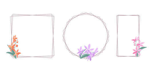 Decorative linear frames with orchid flowers (Darwinara) on a white background, flat illustration. Set of simple elegant frames for your design. Flat cartoon vector illustration.