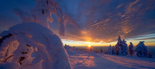 Stunning panorama background of snowy frozen trees firs landscape in winter in Black Forest - Snow...
