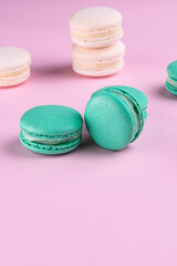 macaron macaroon cake bakery