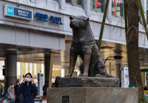 Tokyo, Japan - January 16, 2020: A picture of the Hachiko Memorial Statue, in Shibuya.