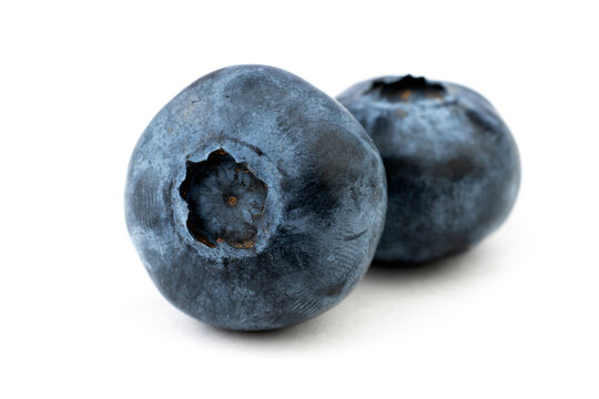Blueberry. Ripe blueberry on white isolated background.