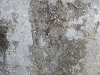 old cracked and moldy walls