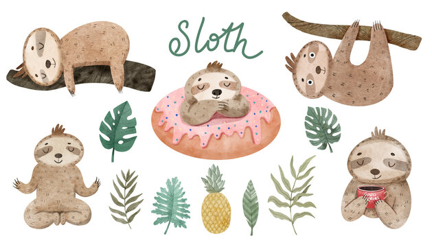 Watercolor set of cute sloths and tropical leaves