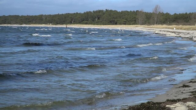 Brzeg morza podczas silnego wiatru. Plaża morska, wybrzeże. Morze Bałtyckie. 