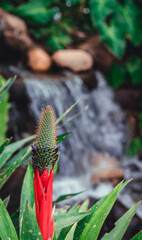 plants in the park botanical garden